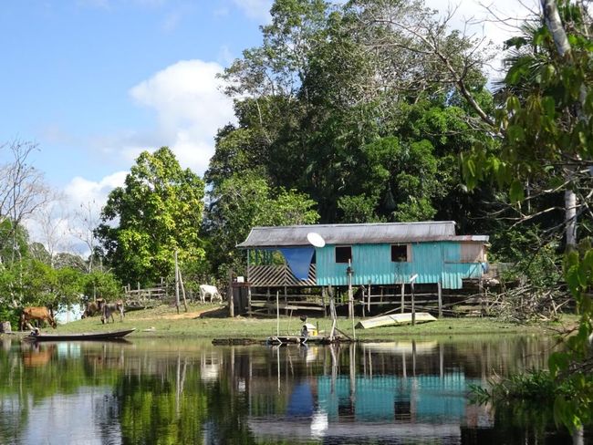 Typisches Amazonas-Haus
