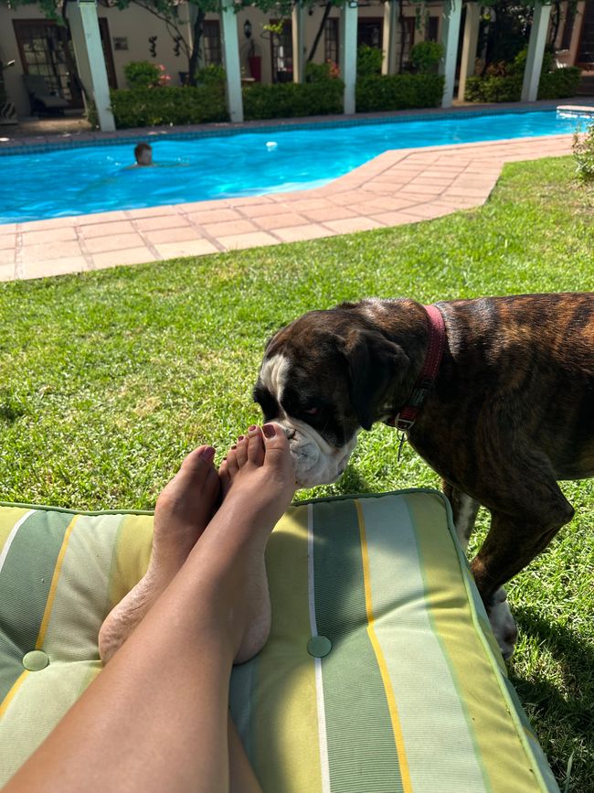 Stellenbosch 