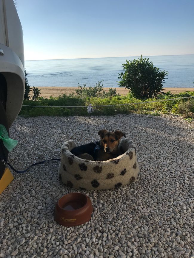 Mit dem WoMo durch Italien, Westküste und Sizilien