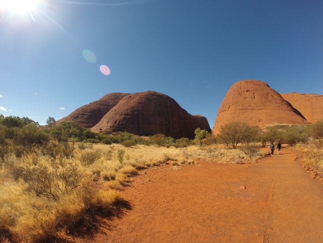 Uluru, Kata-Tjutas und Kings Canyon