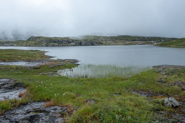 Tag 8  - Wanderung auf der Hardangervidda