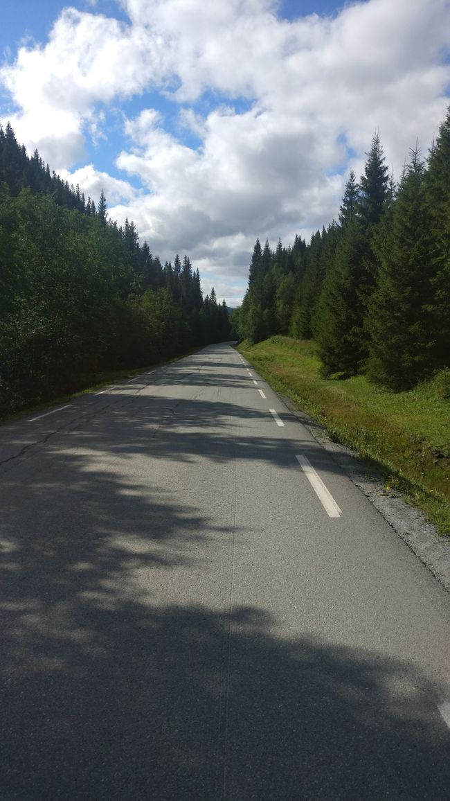 16.08 Øysand - Wald bei Grindal 105km