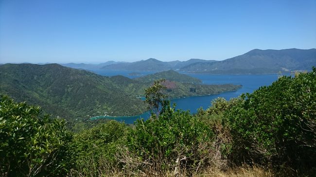 Onahau Lookout, Queen Charlotte Track 