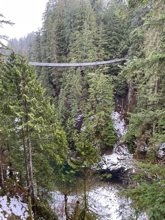 Capilano Suspension Bridge