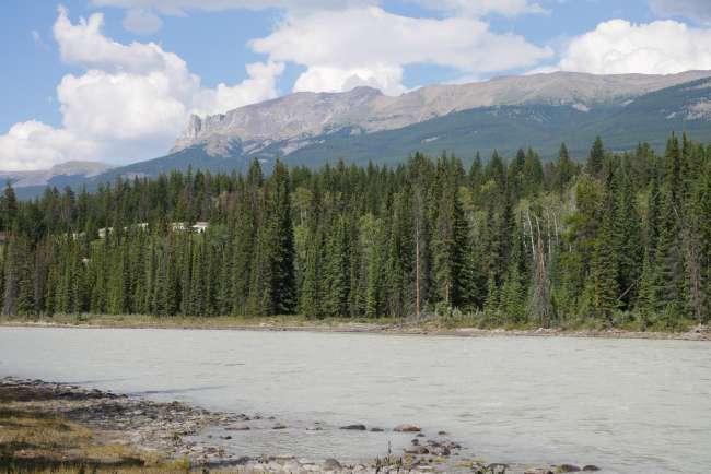 Hike along the Athabasca River