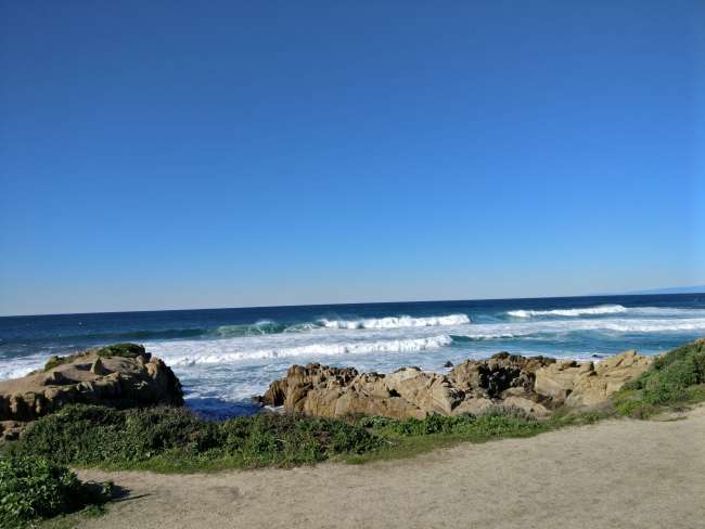 17 Mile Drive in Monterey 2