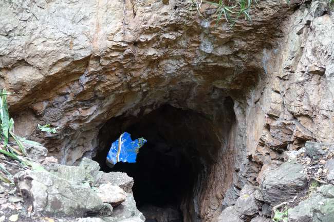 Day 24 Keine Reise ohne Höhle (Chinoyi Cave)