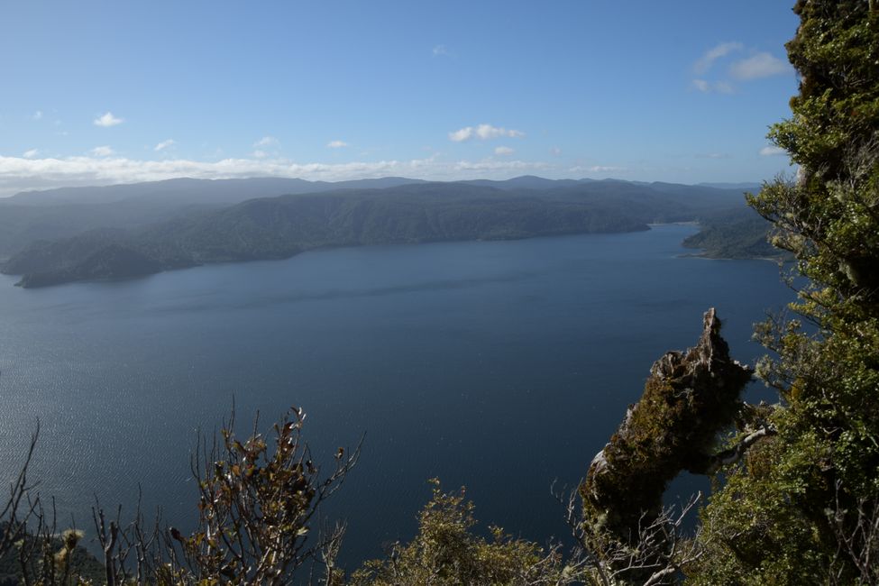 Te Urewera NP - Panekire Bluff Trail - View of Lake Waikaremoana