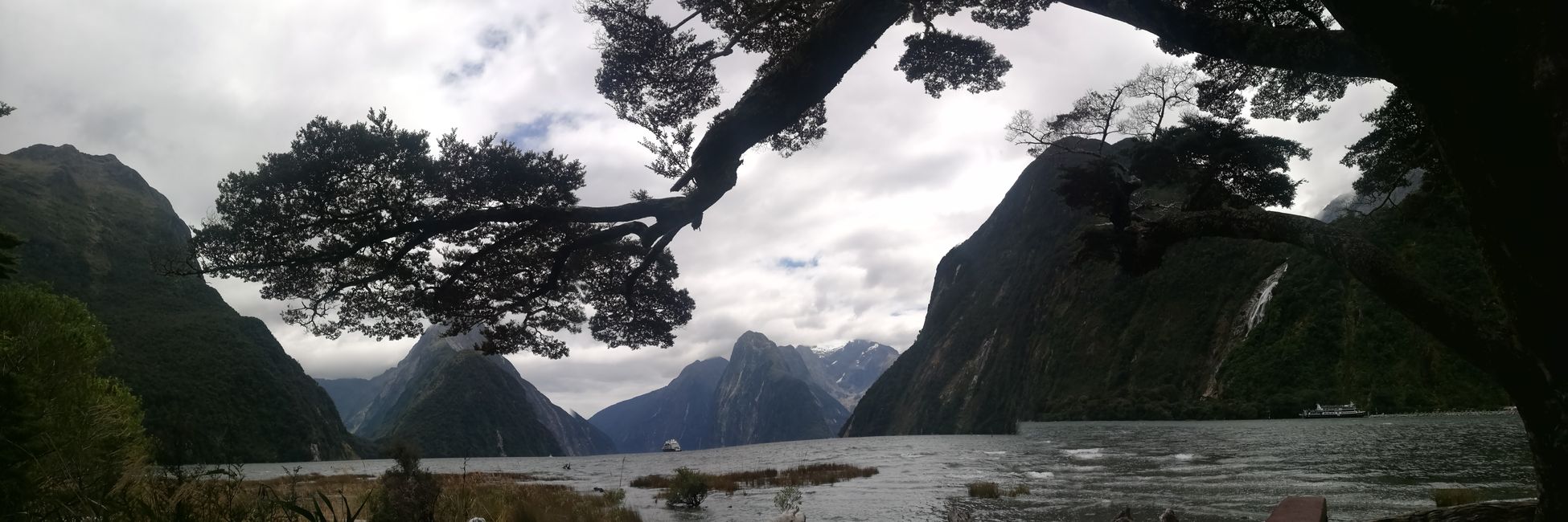 Milford Sound and the way there