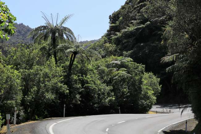 Die Straßen der Karibik...ach ne, ist ja doch Neuseeland!