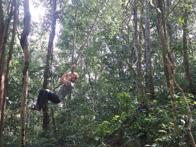 My name is Tarzan, I am jungle-man (Tag 73 der Weltreise)