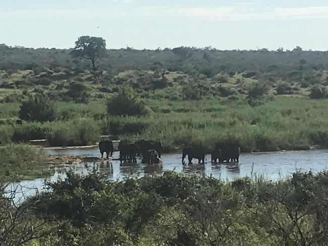 Abenteuer Safari