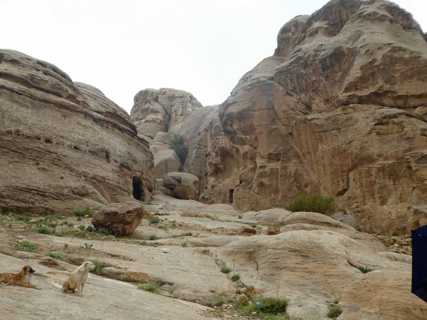 Akabe - Petra, Ürdün, 11 Nisan 2023