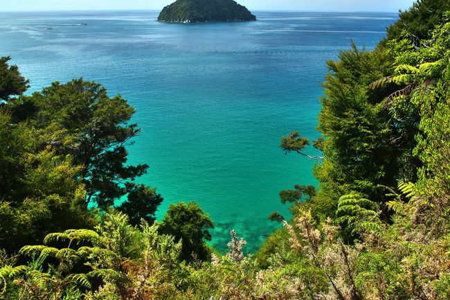 Tag 14 - Abel Tasman National Park