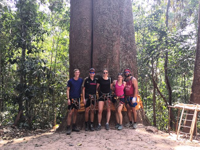 Der grösste Baum von Laos