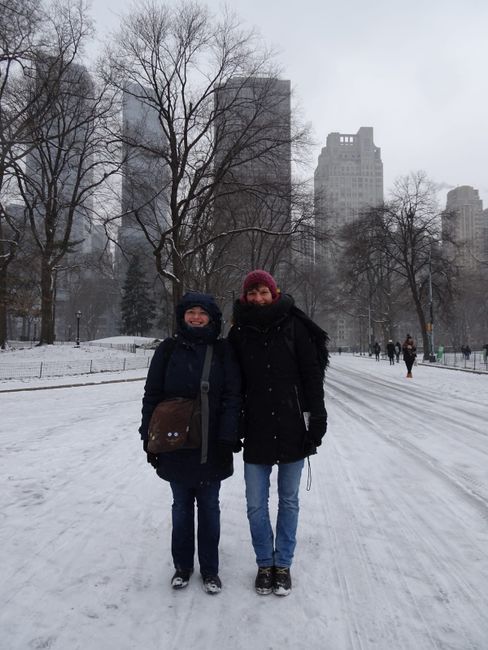 Schnee im Central Park