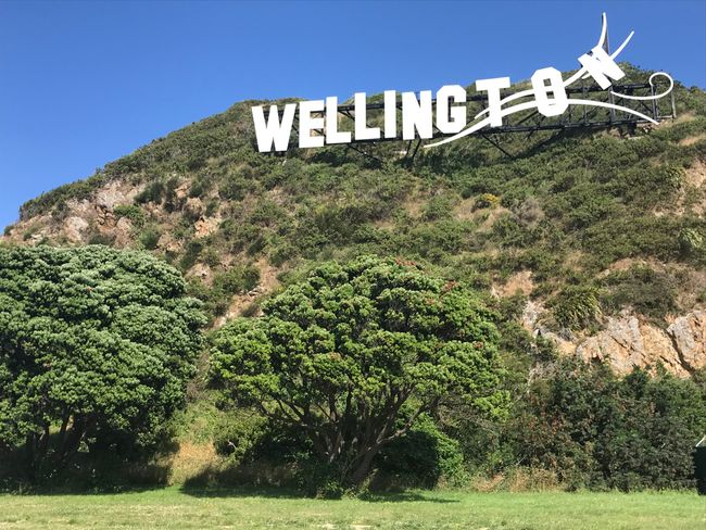 Welcome to Wellington 🚋