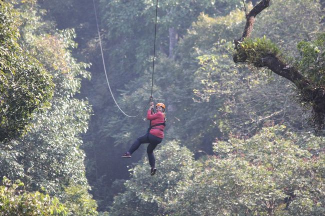 Flight of the Gibbon - ziplining in the Jungle