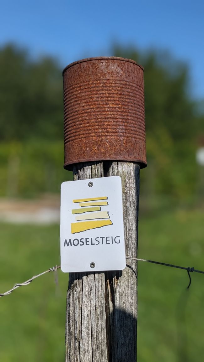 Hiking Moselle wine is how it should be