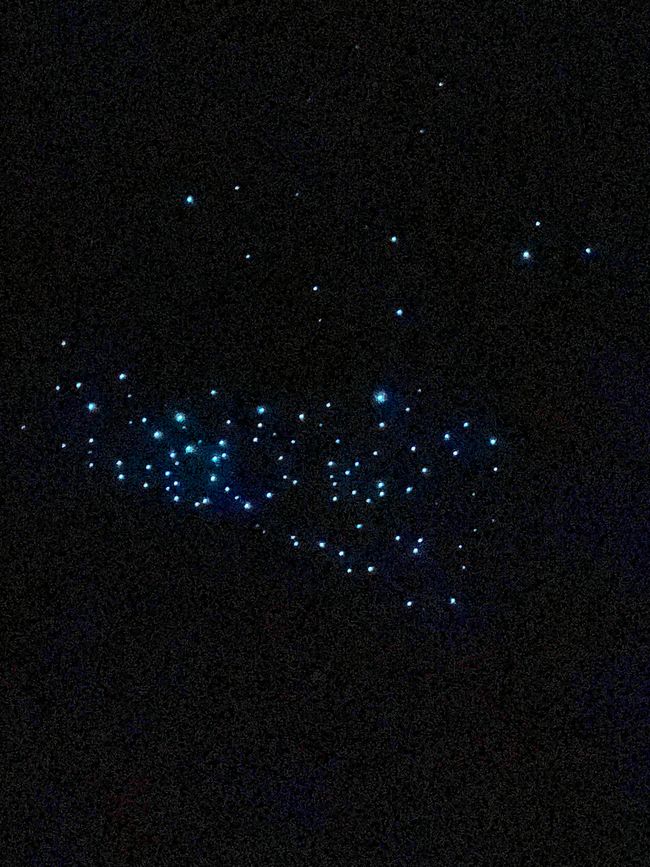 Glowworms in the Ruakuri Cave