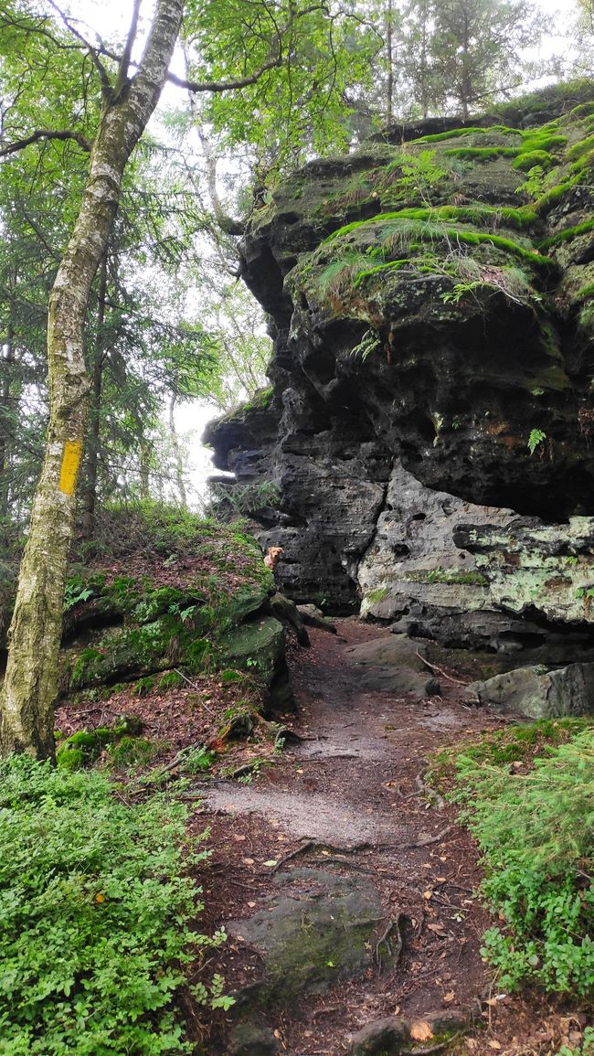 An adventurous path up to Zschirnstein