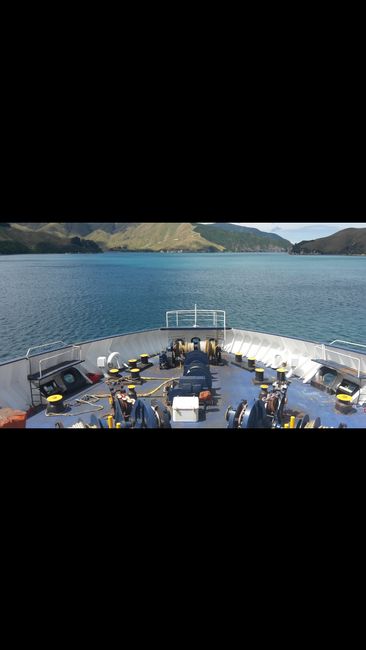 With the ferry from Picton (South Island) to Wellington (North Island)
