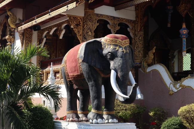 Ein Elefant in einem Tempel.