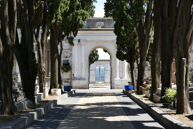 Auf dem Cementerio Central