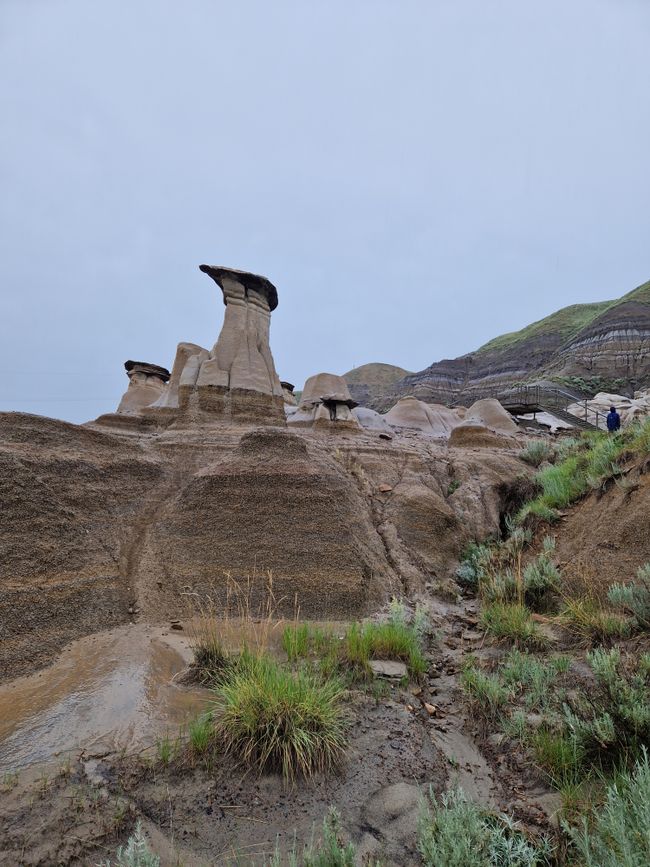 Day 16: Drumheller and Dinosaur Provincial Park
