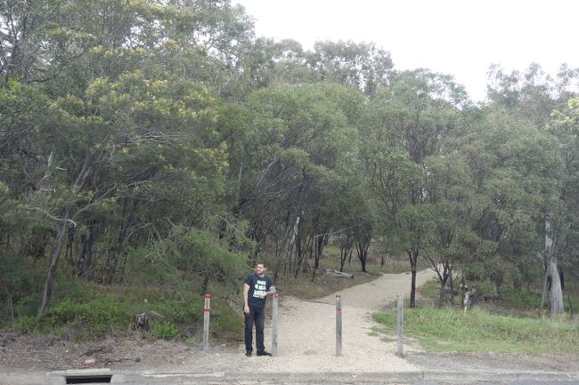 6.11.2018 - laufend Melbourne