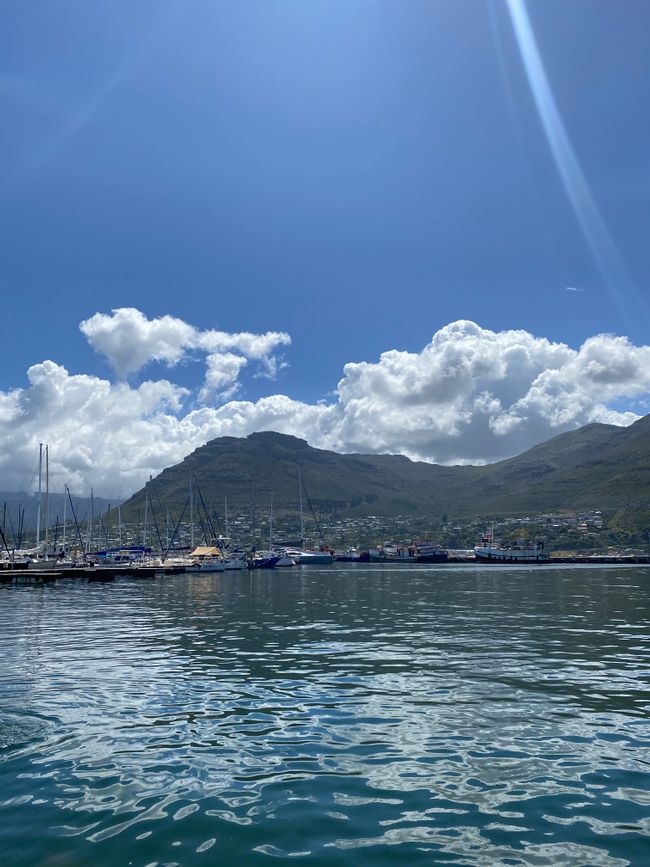 We booked a kayak tour and went from Hout Bay Harbour all the way across to the backpacker hotels, where we saw dolphins. Then we went back along the beach, under the harbor area, to the boat station.