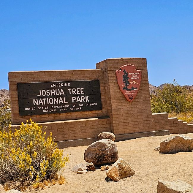 Joshua Tree Nationalparc