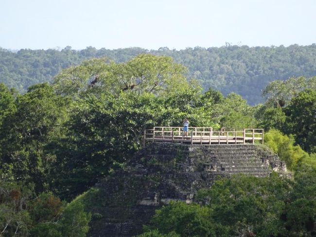 Tikal, Tempel der verlorenen Welt