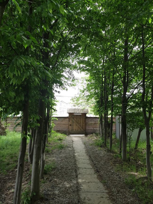The entrance area of the garden