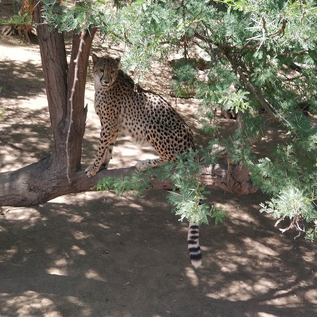 02.12.2018