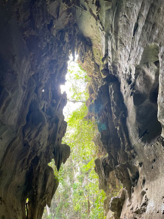 Höhle (Cueva del Indios)