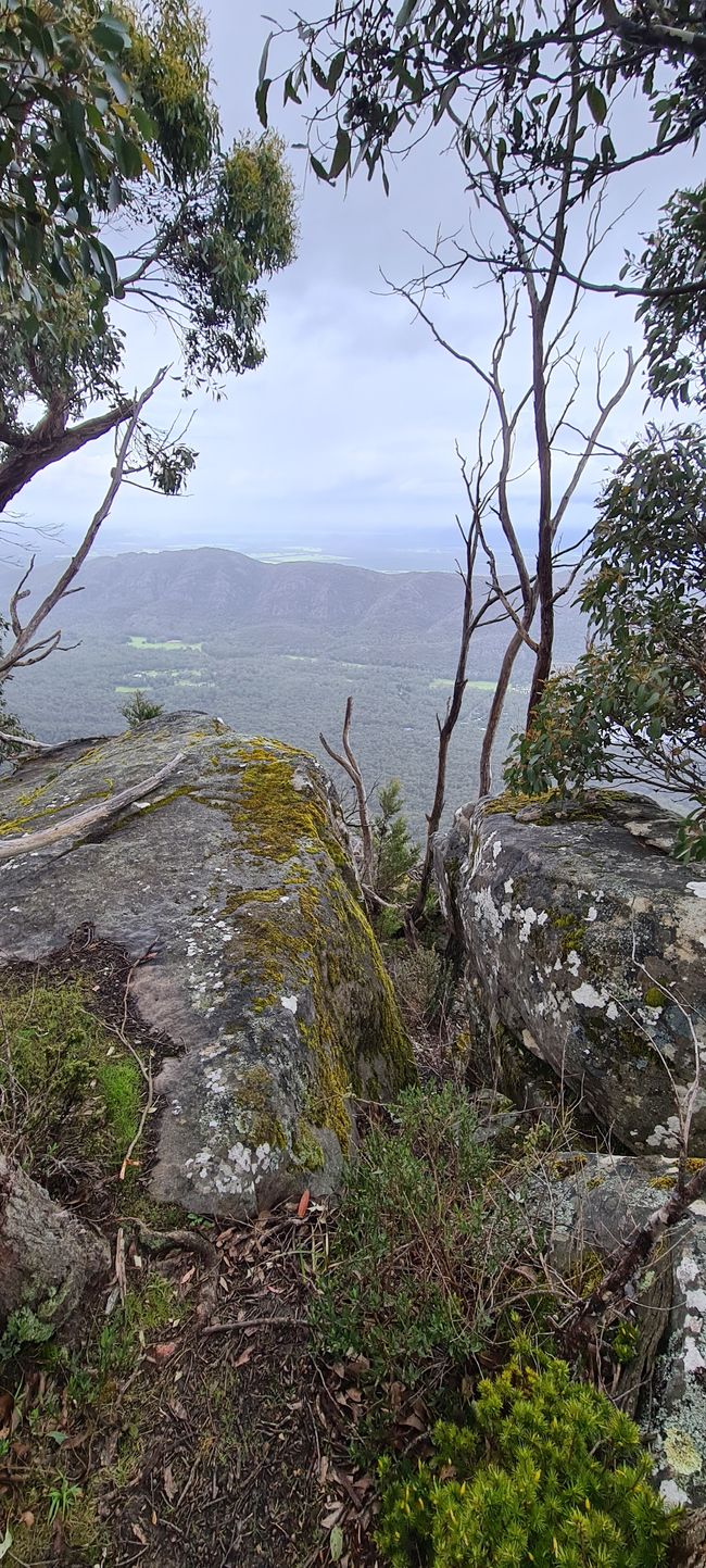 Day 10+11 - The Grampians, kangaroos with joeys