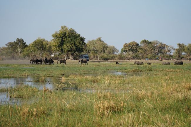 San People and Okavango Delta