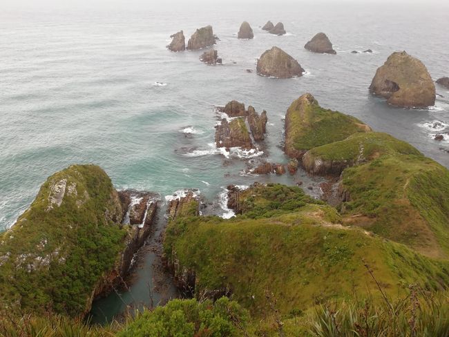 Nugget Point 1