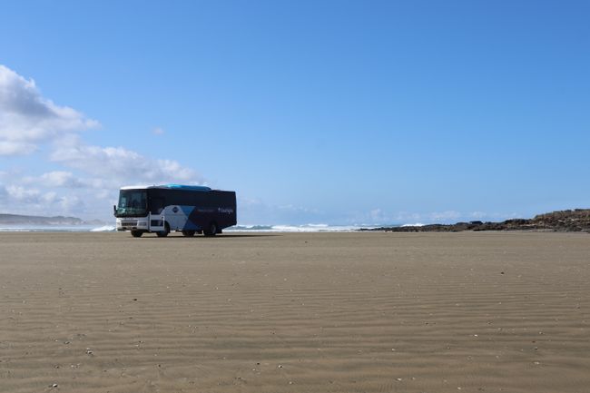 Mit dem Bus auf dem 90 Mile Beach