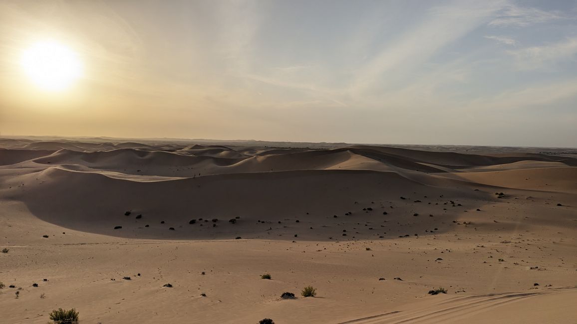 Day 11 (2023) Abu Dhabi: BBQ in the desert & climbing the highest dune!