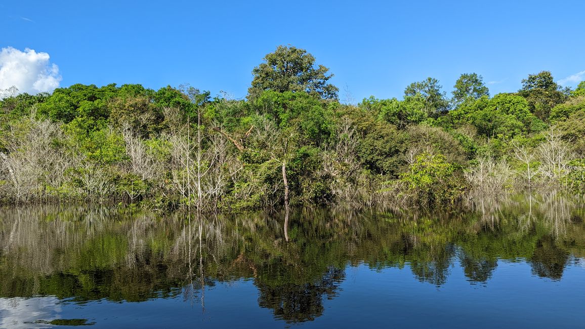 1. Tag Amazonas Dschungel