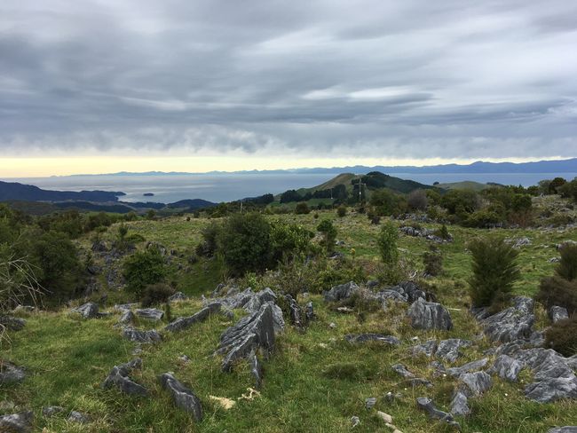 Blick in die Tasman Bay von den Takaka Hills