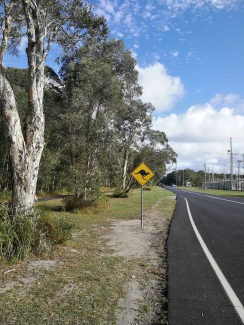 Roadtrip Australien - 3.500 km entlang der Great Ocean Road und von Melbourne nach Brisbane