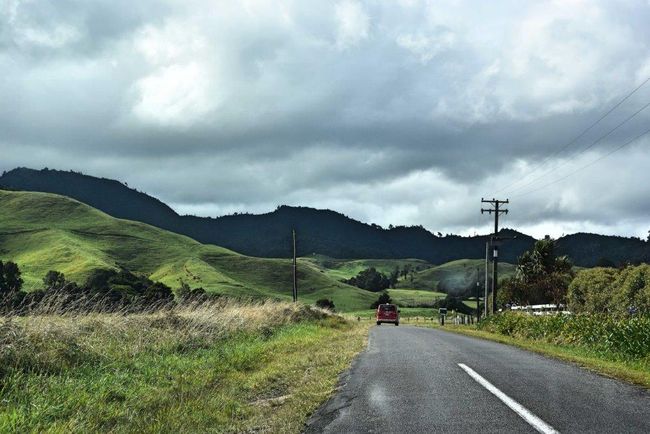 Wellington - Auckland: By car transfer to the north