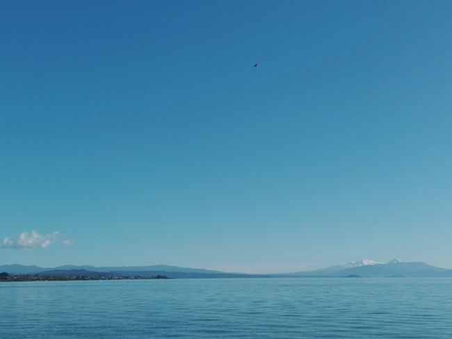 Von Taupo nach Napier - Hitchhiking