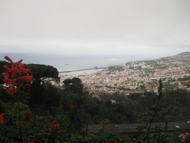 Blumeninsel im Atlantik - Madeira
