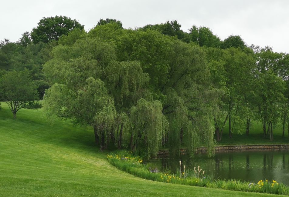 'GLENSTONE' - Park
Potomac, Maryland