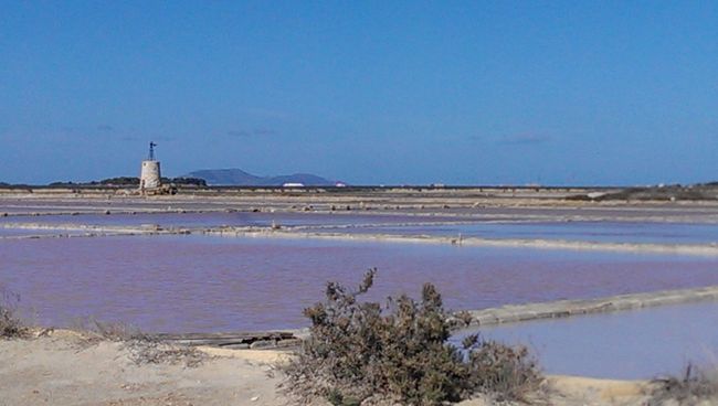 Salt fields behind Trapani