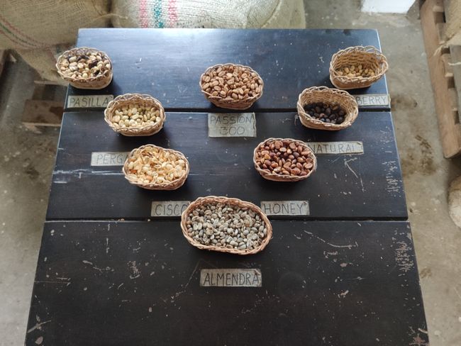The different types of coffee beans due to different types of post production